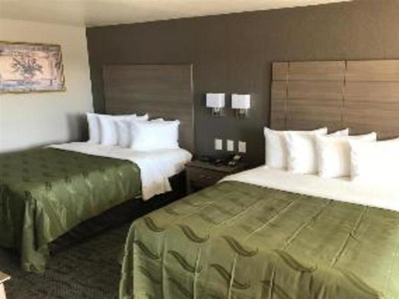 Quality Inn I-10 East Near Frost Bank Center San Antonio Eksteriør bilde